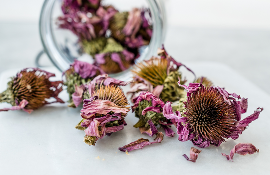 organic dried echinacea - a key ingredient in the immune boosting elixir commonly known as Elderberry Syrup