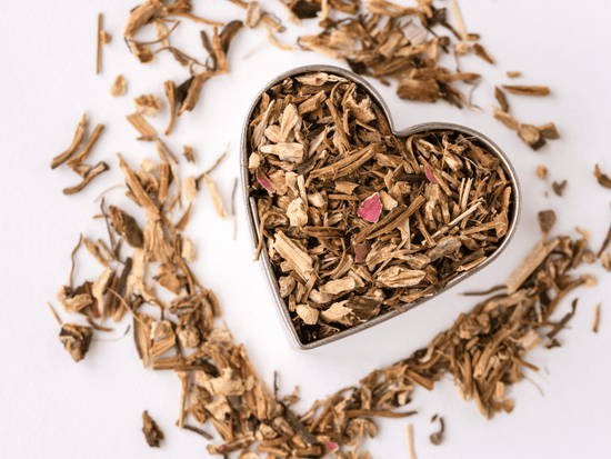 Echinacea root for immune support and decongestant