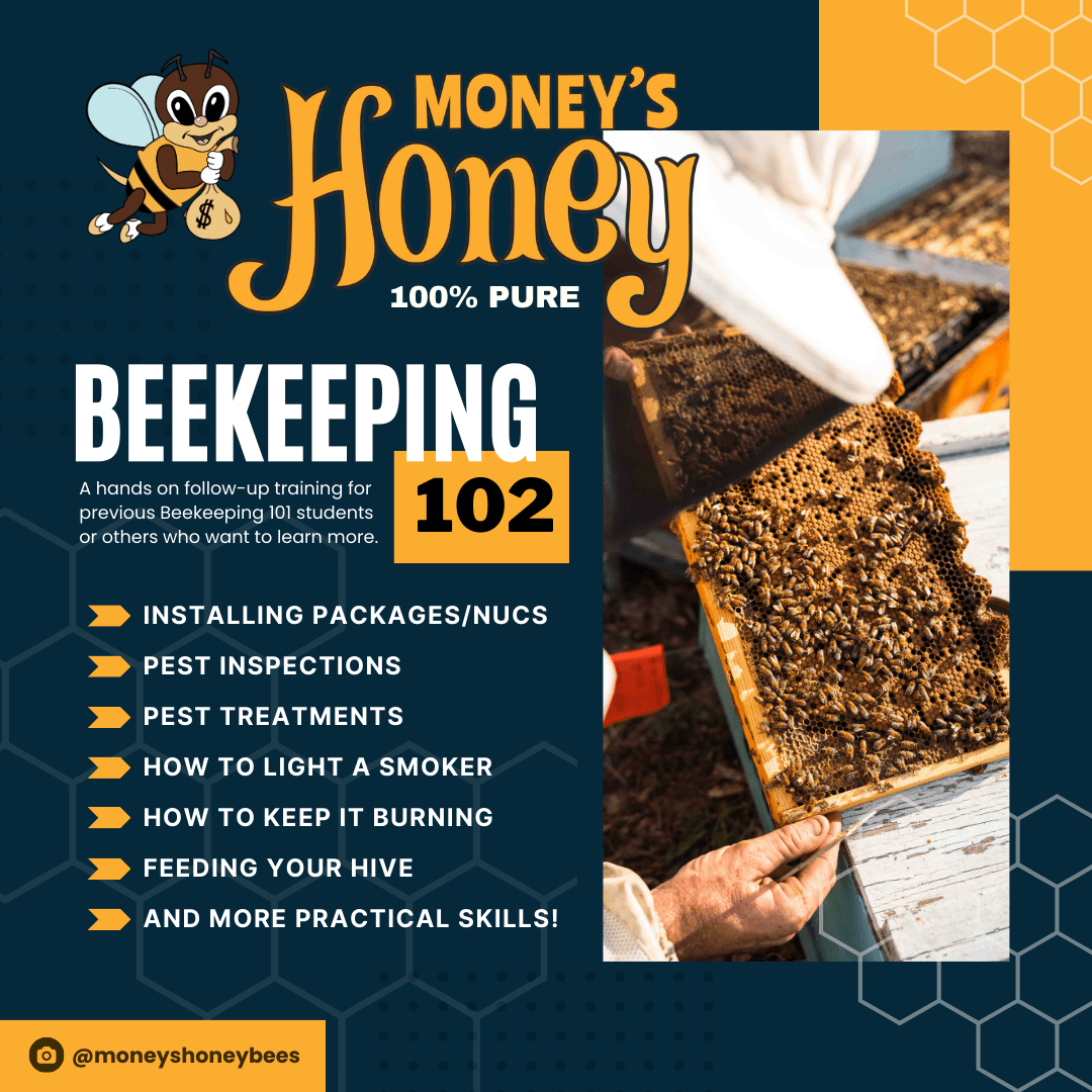 Bee Keeping 102 Class - Money's Honey