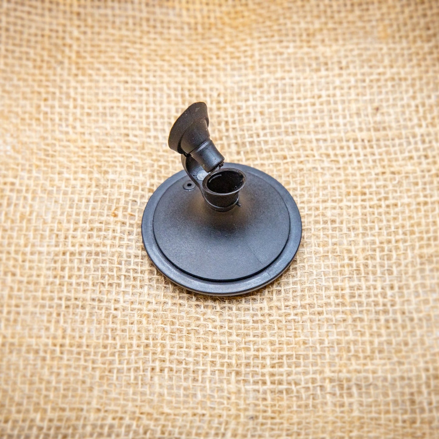 Elderberry Jar Pour Lid - Money's Honey