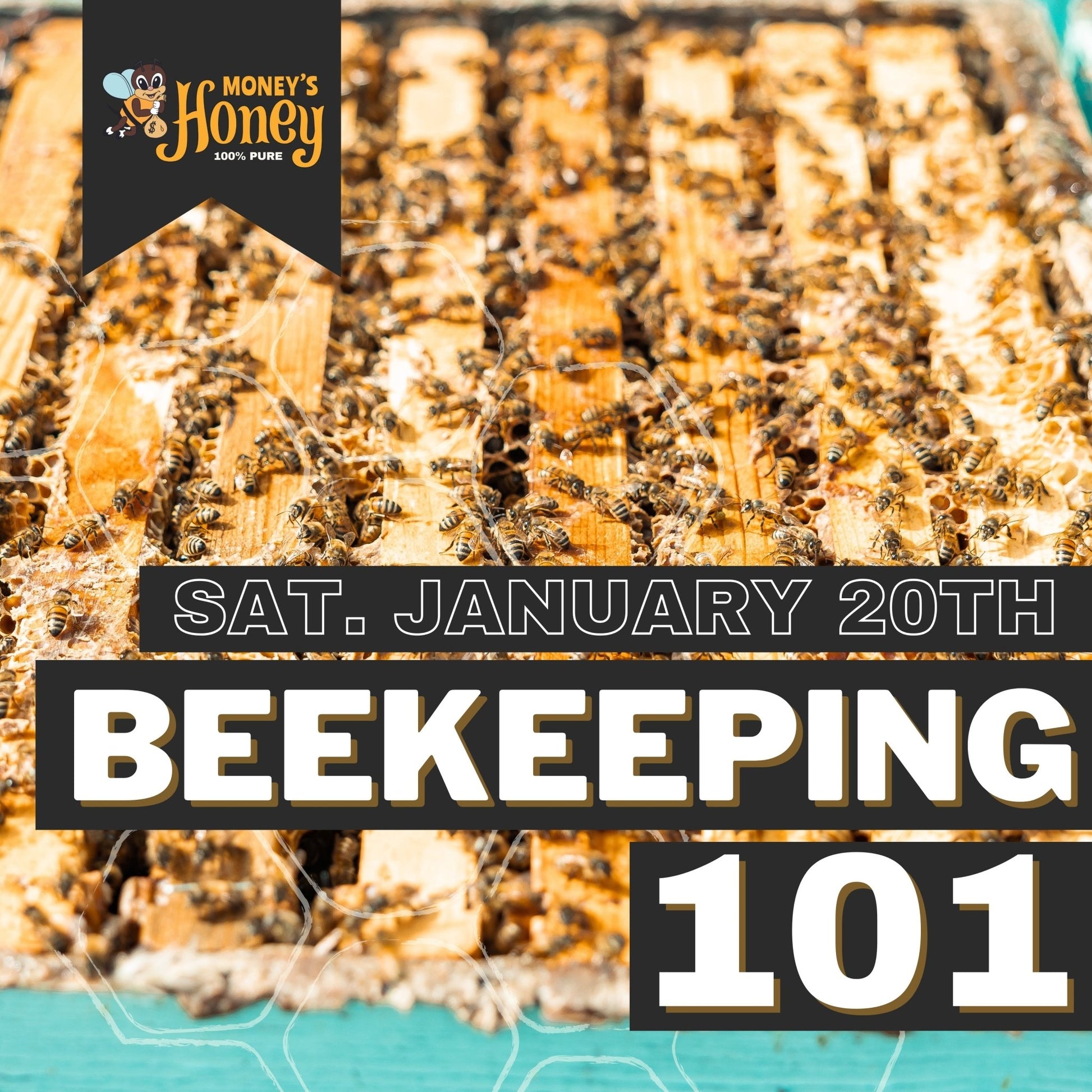 Bee Keeping 101 Class - Money's Honey
