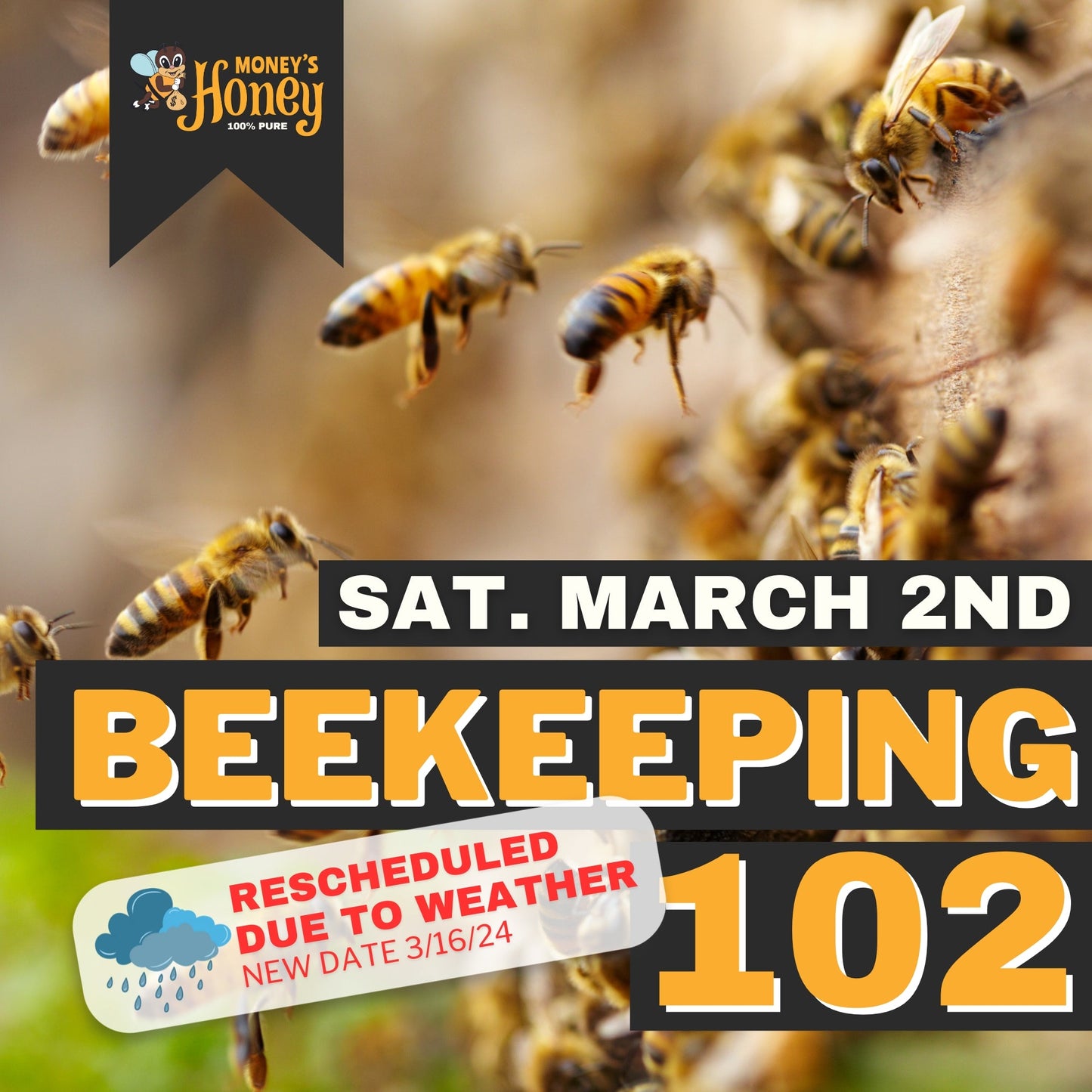 Bee Keeping 102 Class - Money's Honey