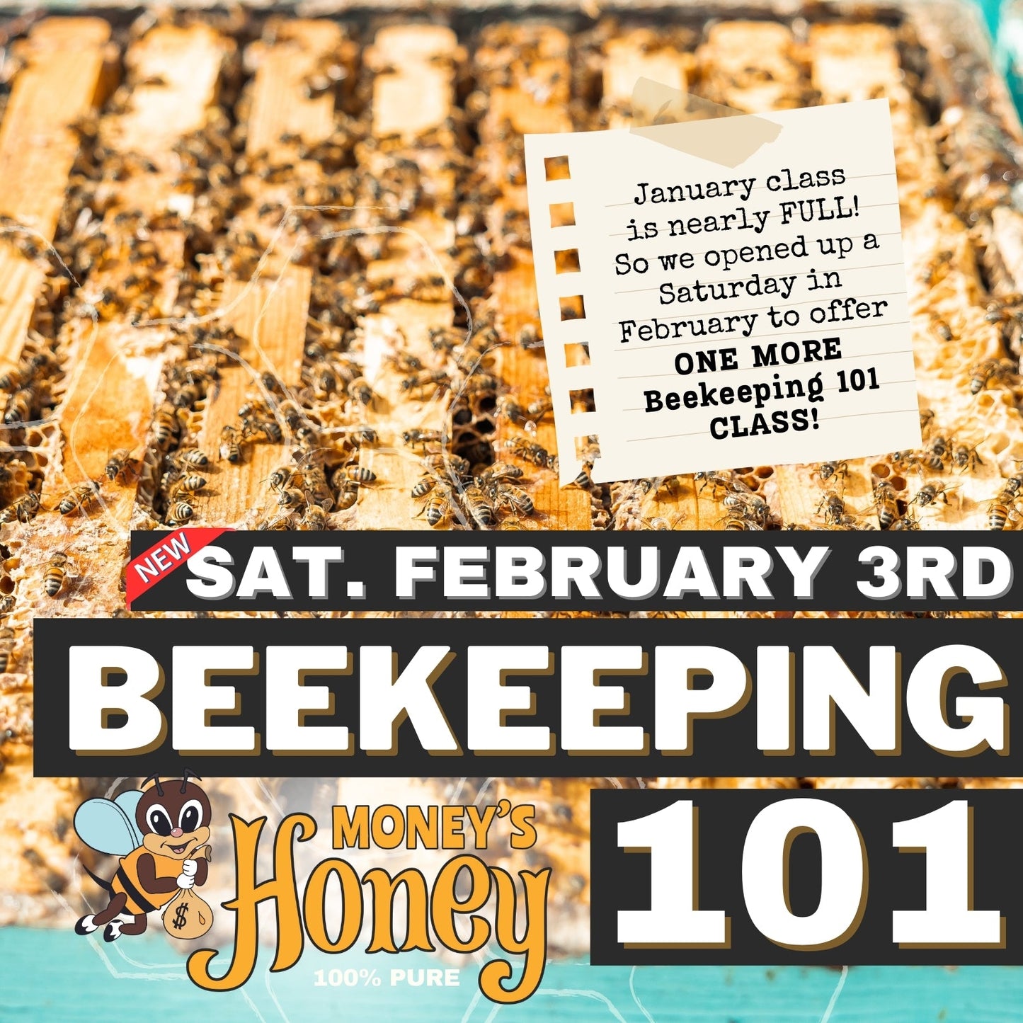 February Bee Keeping 101 Class - Money's Honey