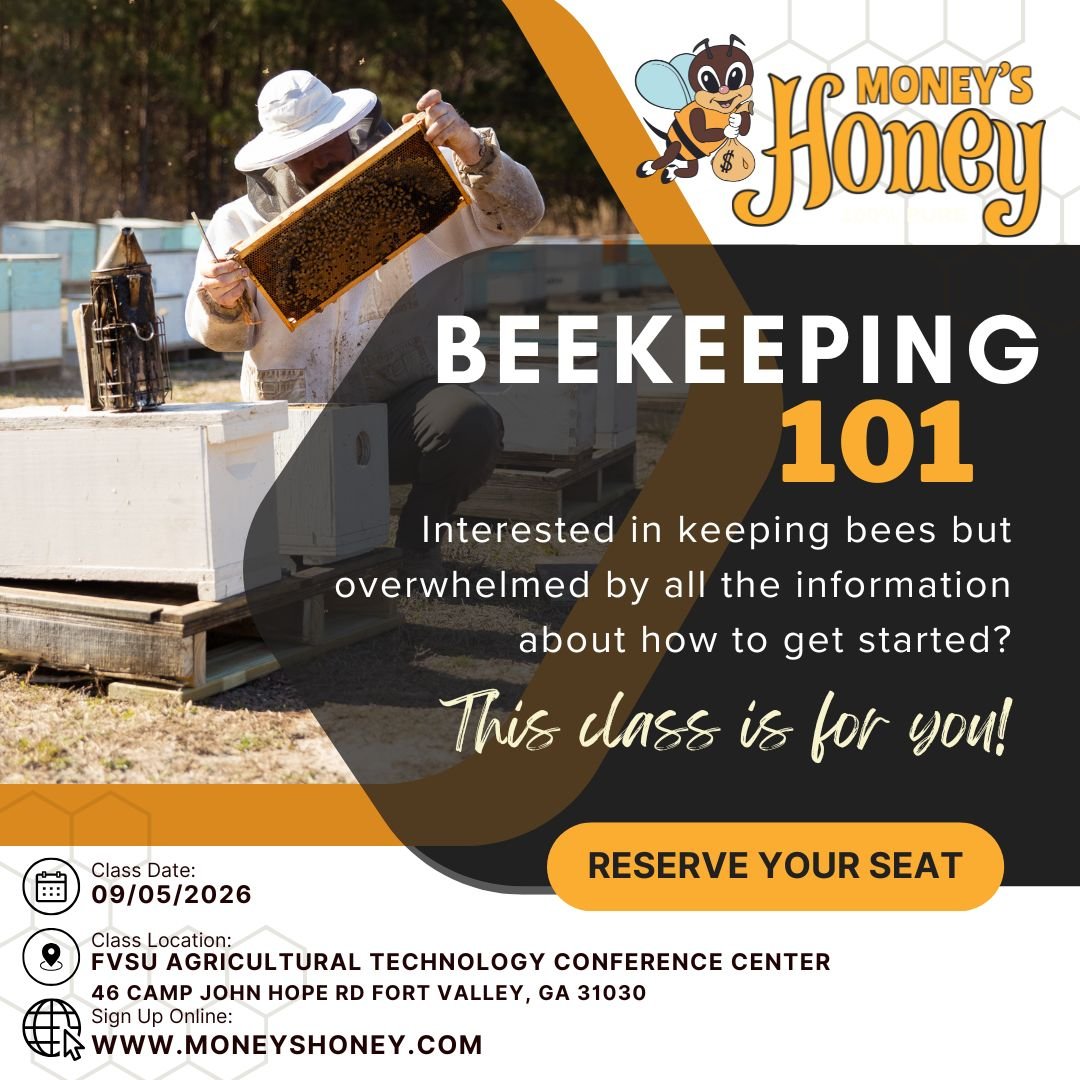 Bee Keeping 101 Class - Money's Honey