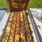 5 Frame Honey Bee Nuc - Money's Honey